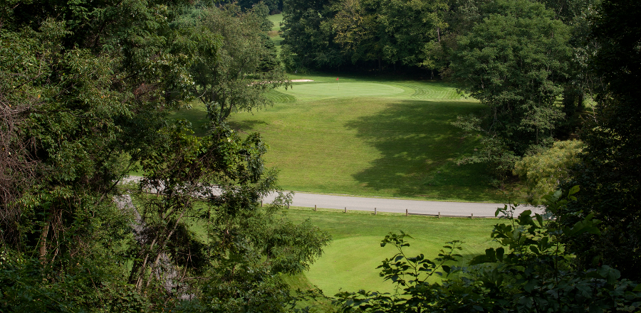 view of golf course green and fairway